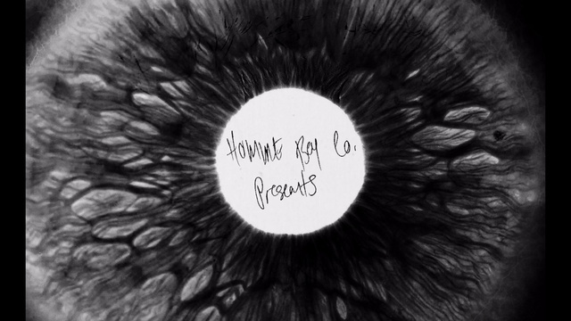 Video Reference: Black, Iris, Eye, Eyelash, Black-and-white, Organ, Monochrome photography, Monochrome, Fur, Close-up, Person, Looking, Fruit, Face, Animal, Brush, Sketch, Text, Black and white, Drawing, Handwriting