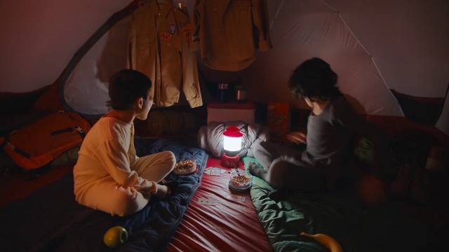 Video Reference: Snapshot, Fun, Room, Human, Sitting, Photography, Adaptation, Night, Leisure, Vacation