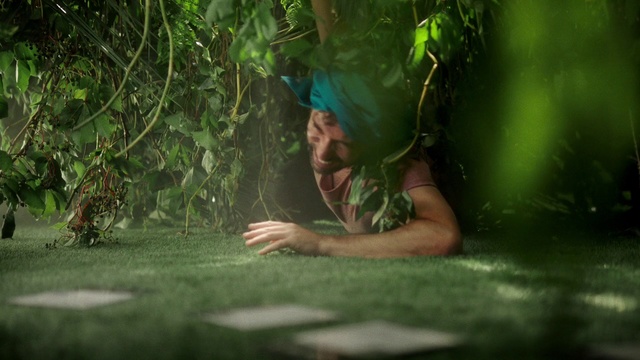 Video Reference: Green, People in nature, Nature, Natural environment, Jungle, Grass, Leaf, Tree, Forest, Adaptation