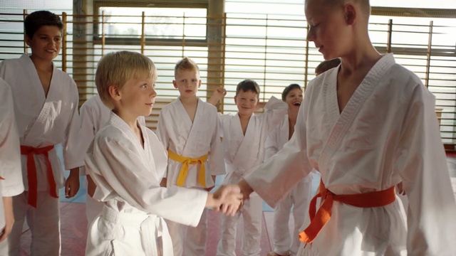 Video Reference: Shidokan, Karate, Martial arts uniform, Martial arts, Japanese martial arts, Individual sports, Dobok, Judo, Uniform, Jujutsu, Person