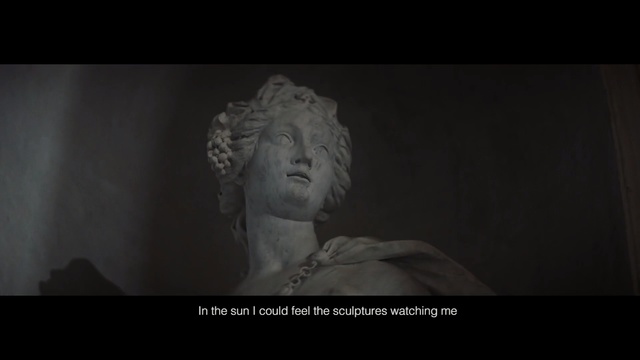 Video Reference: Sculpture, Classical sculpture, Statue, Black, Photograph, Art, Stone carving, Monochrome photography, Head, Black-and-white, Person