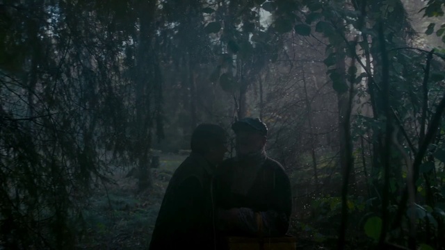 Video Reference: Forest, Woodland, Nature, Green, Natural environment, Black, Old-growth forest, Darkness, Atmospheric phenomenon, Tree, Person