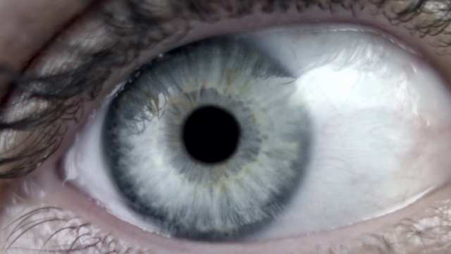Video Reference: Iris, Eye, Close-up, Organ, Eyelash, Macro photography, Ophthalmology, Human body, Snout, Photography