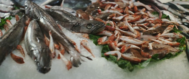 Video Reference: Fish, Seafood, Oily fish, Food, Fish products, Cuisine, Fish, Anchovy, Dish, Anchovy (food)