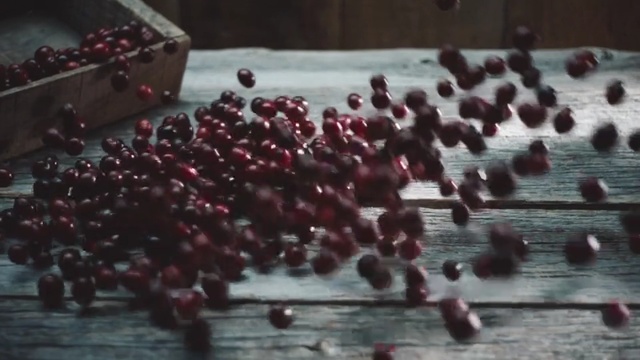 Video Reference: Plant, Games, Crowd