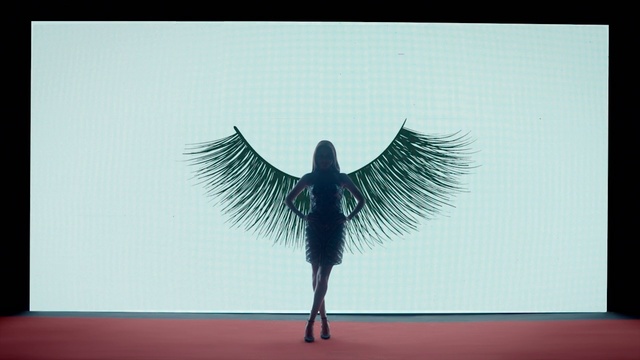 Video Reference: Wing, Feather, Photography, Black-and-white, Fictional character, Supernatural creature, Illustration