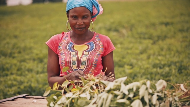 Video Reference: Adaptation, Plant, Child, Smile, Grass, Crop, Flower, Plantation, Happy