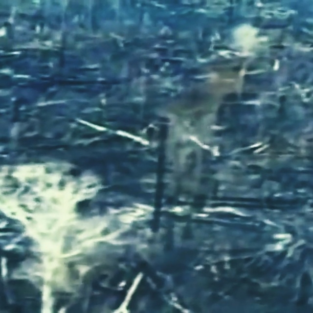 Video Reference: water, water resources, reflection, wave, sky, marine biology, sea, watercourse, ocean, river