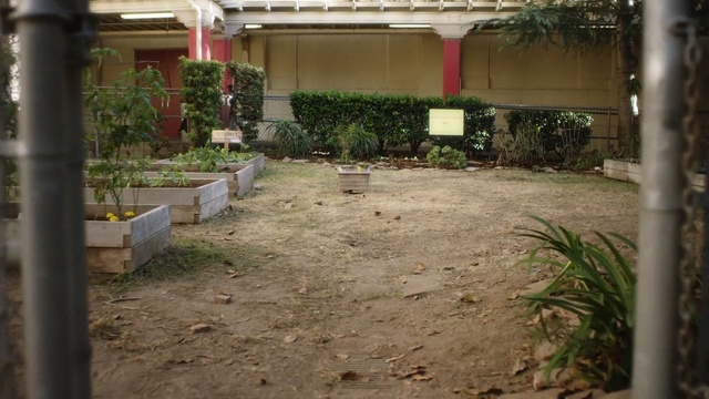 Video Reference: property, yard, courtyard, plant, grass, tree, outdoor structure, garden, real estate, backyard