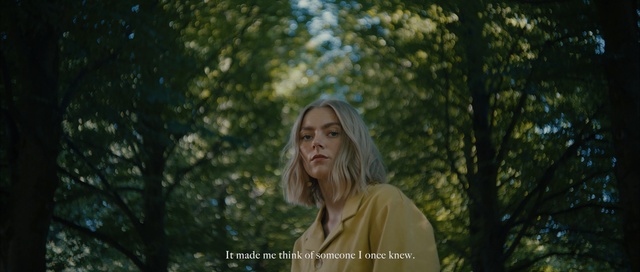 Video Reference: People in nature, Nature, Hair, Photograph, Beauty, Blond, Lady, Natural environment, Portrait, Tree, Person