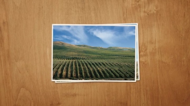 Video Reference: Field, Ecoregion, Plain, Landscape, Painting, Stock photography, Sky, Grassland, Photography, Agriculture