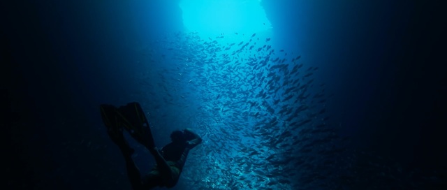 Video Reference: Blue, Underwater, Water, Recreation, Underwater diving, Sky, Ocean, Scuba diving, Sea, Freediving