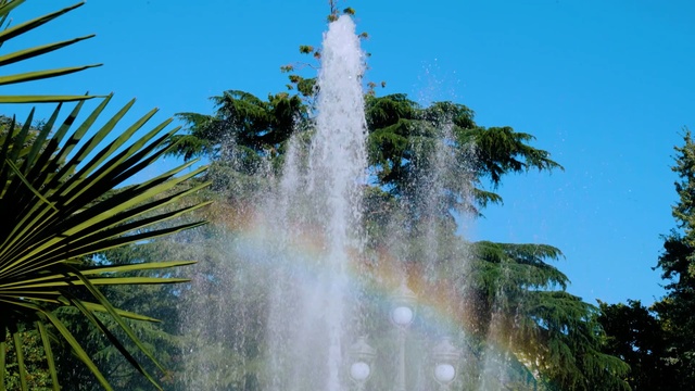 Video Reference: water, nature, vegetation, tree, arecales, palm tree, water feature, sky, tropics, leaf