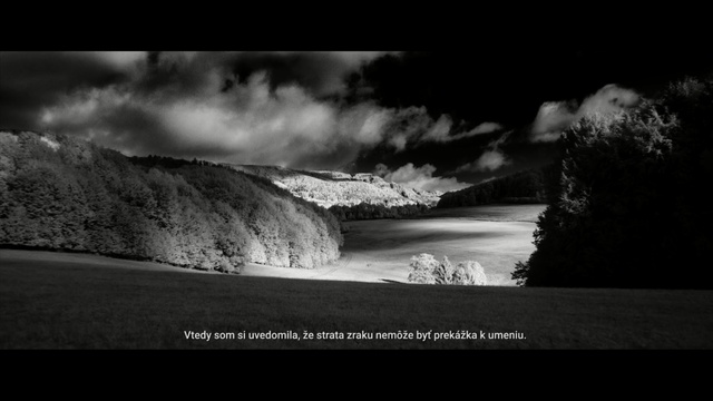 Video Reference: nature, black, sky, black and white, monochrome photography, atmosphere, photography, water, darkness, monochrome