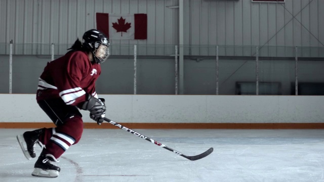 Video Reference: Sports, Hockey, Ice hockey, Ice hockey equipment, Stick and Ball Games, Sports gear, College ice hockey, Team sport, Player, Bandy, Person