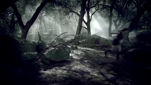 Video Reference: Nature, Natural environment, Atmospheric phenomenon, Forest, Woodland, Natural landscape, Tree, Jungle, Atmosphere, Biome