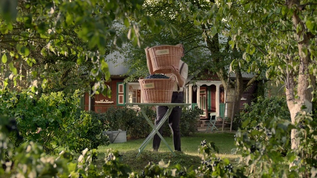 Video Reference: House, Property, Home, Building, Tree, Real estate, Botany, Tree house, Estate, Cottage
