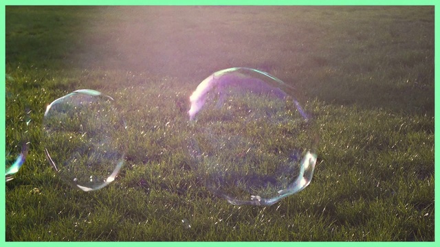 Video Reference: Grass, Water, Organism, Plant, Liquid bubble, Person, Object, Bubble, Thing, Bird, Green, Sitting, Standing, Food, Table, Field, Flying, White, Plate, Sprinkler system, Bell jar