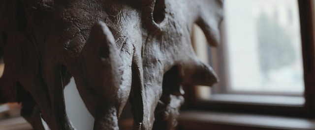 Video Reference: mammal, snout, elephants and mammoths