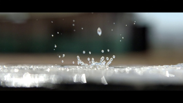 Video Reference: Water, Photograph, Nature, Macro photography, Moisture, Light, Drop, Lighting, Snapshot, Atmosphere