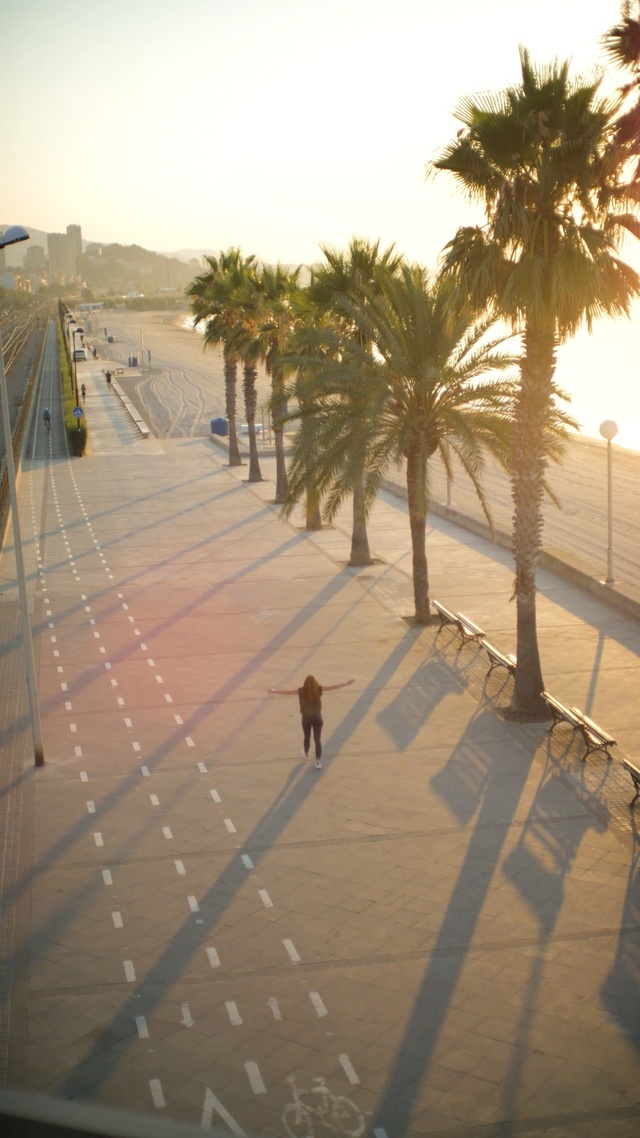 Video Reference: Tree, Palm tree, Morning, Shadow, Sky, Arecales, Vacation, Landscape, Sunlight, Plant, Person