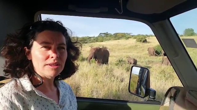 Video Reference: Safari, Travel, Wildlife, Rear-view mirror, Auto part, Automotive mirror, Driving, Vehicle door, Automotive exterior, Photography