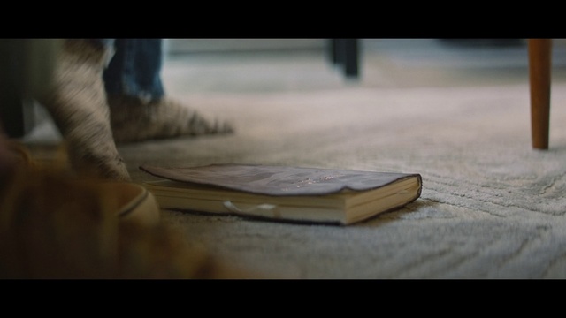 Video Reference: Wood, Hardwood, Floor, Footwear, Flooring, Hand, Shoe, Photography, Finger