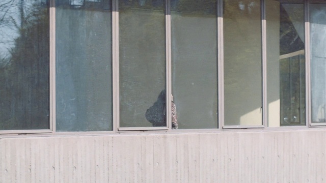 Video Reference: Wall, Glass, Window, Architecture, Wood, Metal, Window screen