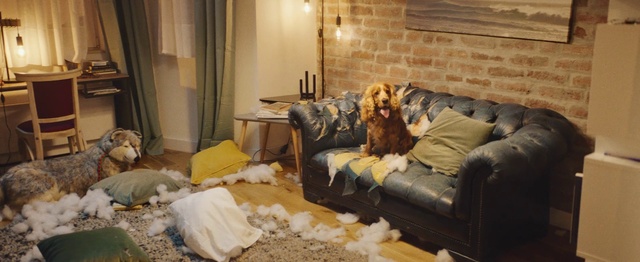 Video Reference: Room, Property, Furniture, Interior design, Bedroom, Living room, Wall, Home, Floor, Fur