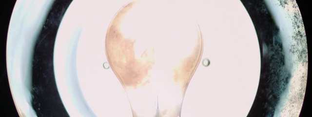 Video Reference: Ear, Skin, Nose, Joint, Illustration, Neck