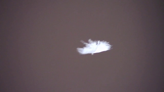 Video Reference: Sky, Feather, Cloud, Space, Wing