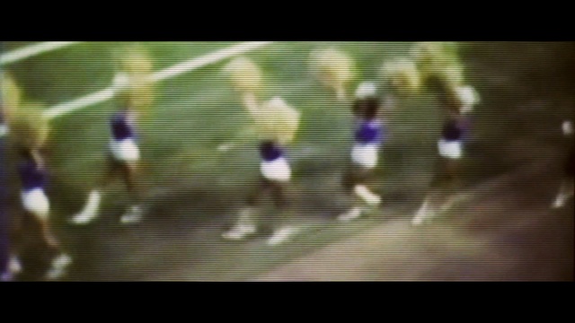 Video Reference: green, nature, yellow, player, vertebrate, light, snapshot, atmosphere, grass, fun