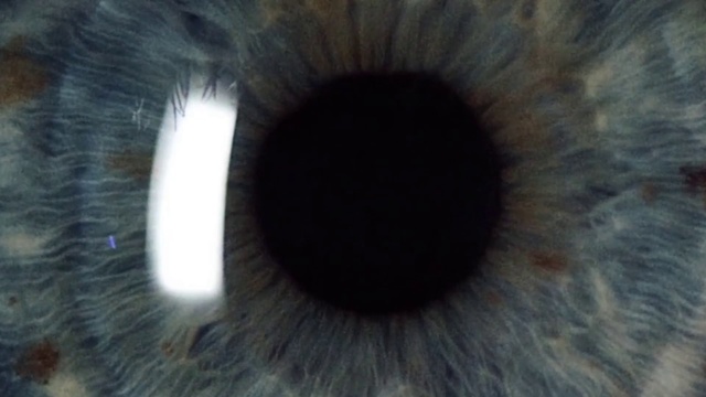 Video Reference: Iris, Eye, Close-up, Organ, Eyelash, Photography, Human body