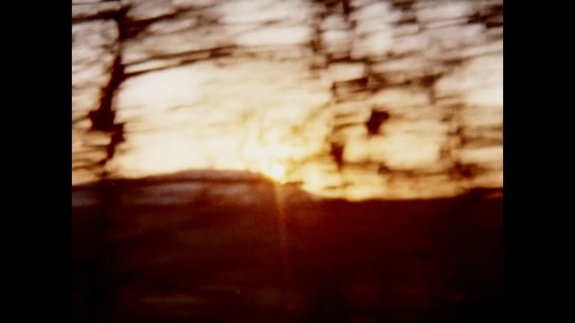 Video Reference: Sky, Light, Morning, Sunlight, Heat, Wood, Cloud, Sunrise, Atmosphere, Sunset