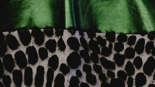 Video Reference: green, black, pattern, organism, grass, textile, design, Person
