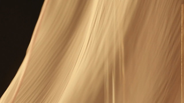 Video Reference: Hair, Light, Wood, Yellow, Blond, Beige, Plywood, Textile, Caramel color, Long hair