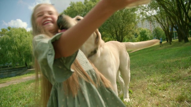Video Reference: Canidae, Dog, Retriever, Dog breed, Grass, Labrador retriever, Sporting Group, Golden retriever, Fawn, Carnivore