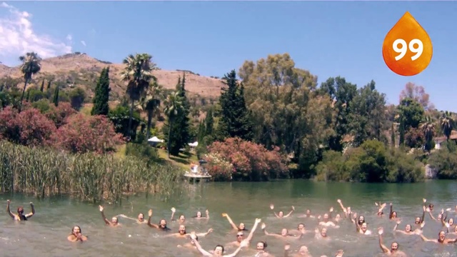 Video Reference: Natural landscape, Flamingo, Nature, Water bird, Nature reserve, Water, Bird, Vegetation, Pond, Lake