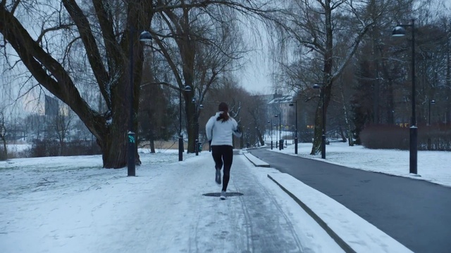 Video Reference: Snow, Winter, Freezing, Tree, Walking, Winter storm, Recreation, Pedestrian, Thoroughfare, Road