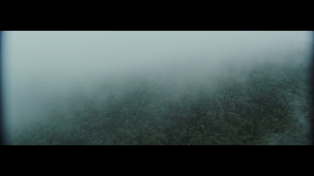 Video Reference: mist, atmosphere, fog, sky, morning, darkness, trident, tree, sunlight, computer wallpaper