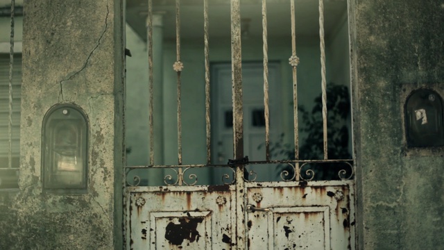 Video Reference: wall, window, door, facade, wood, tree, house, building