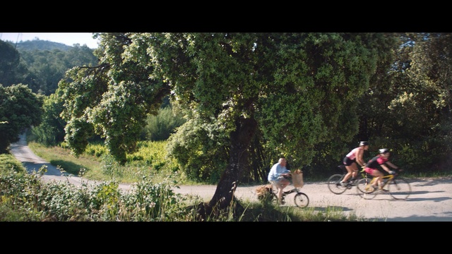 Video Reference: Cycling, Cycle sport, Bicycle, Vehicle, Outdoor recreation, Cross-country cycling, Endurance sports, Mountain bike, Recreation, Road cycling