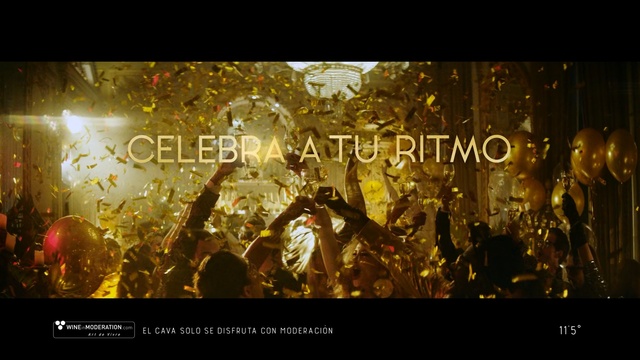 Video Reference: text, entertainment, song, computer wallpaper, screenshot, darkness, crowd, night, fête, midnight