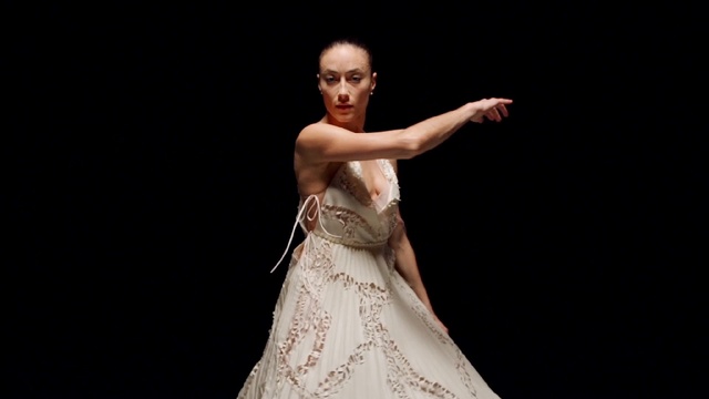 Video Reference: performance, performing arts, fashion model, dancer, performance art, dress, dance, event, modern dance, girl, Person