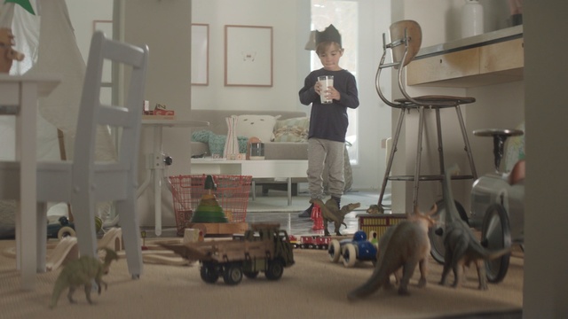 Video Reference: mammal, room, flooring, recreation, Person