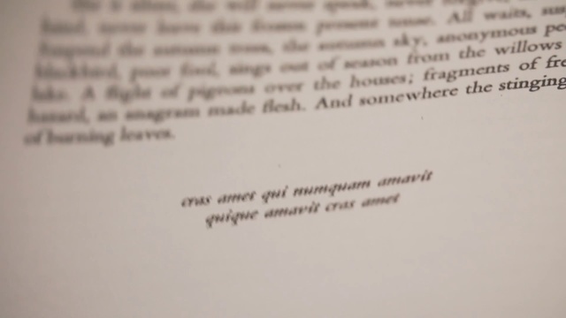 Video Reference: text, font, handwriting, document, writing, paper