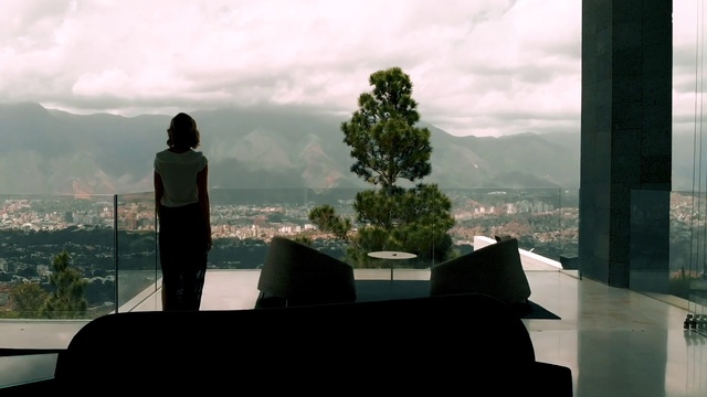 Video Reference: Sky, Tree, Cloud, Photography, Screenshot, Architecture, Landscape, Plant, Sitting, Window