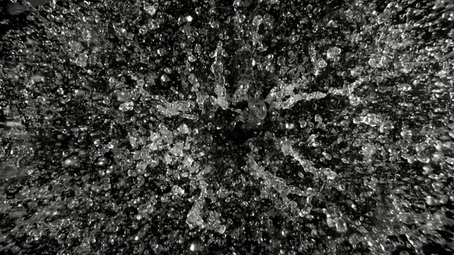 Video Reference: Black, Black-and-white, Monochrome photography, Monochrome, Tree, Photography, Soil, Pattern, Style