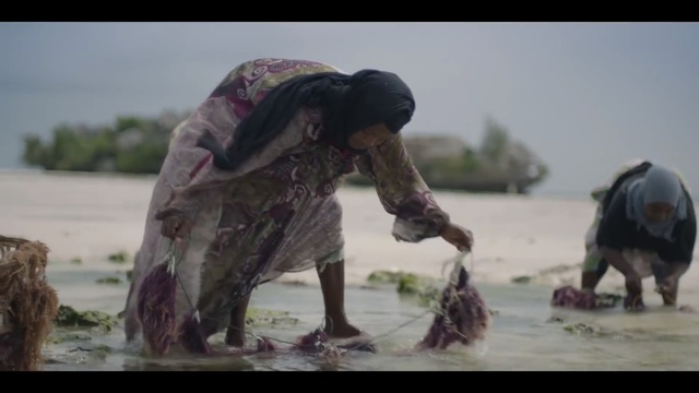 Video Reference: Adaptation, Water, Human, Fun, Photography, Landscape, Scene, Person