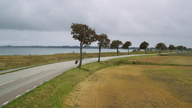 Video Reference: Tree, Road, Land lot, Shore, Grass, Coast, Woody plant, Infrastructure, Thoroughfare, Sea